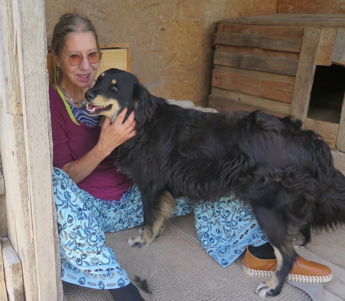 Crista, female Mixed Breed for adoption at Freundeskreis Brunopet e.V.