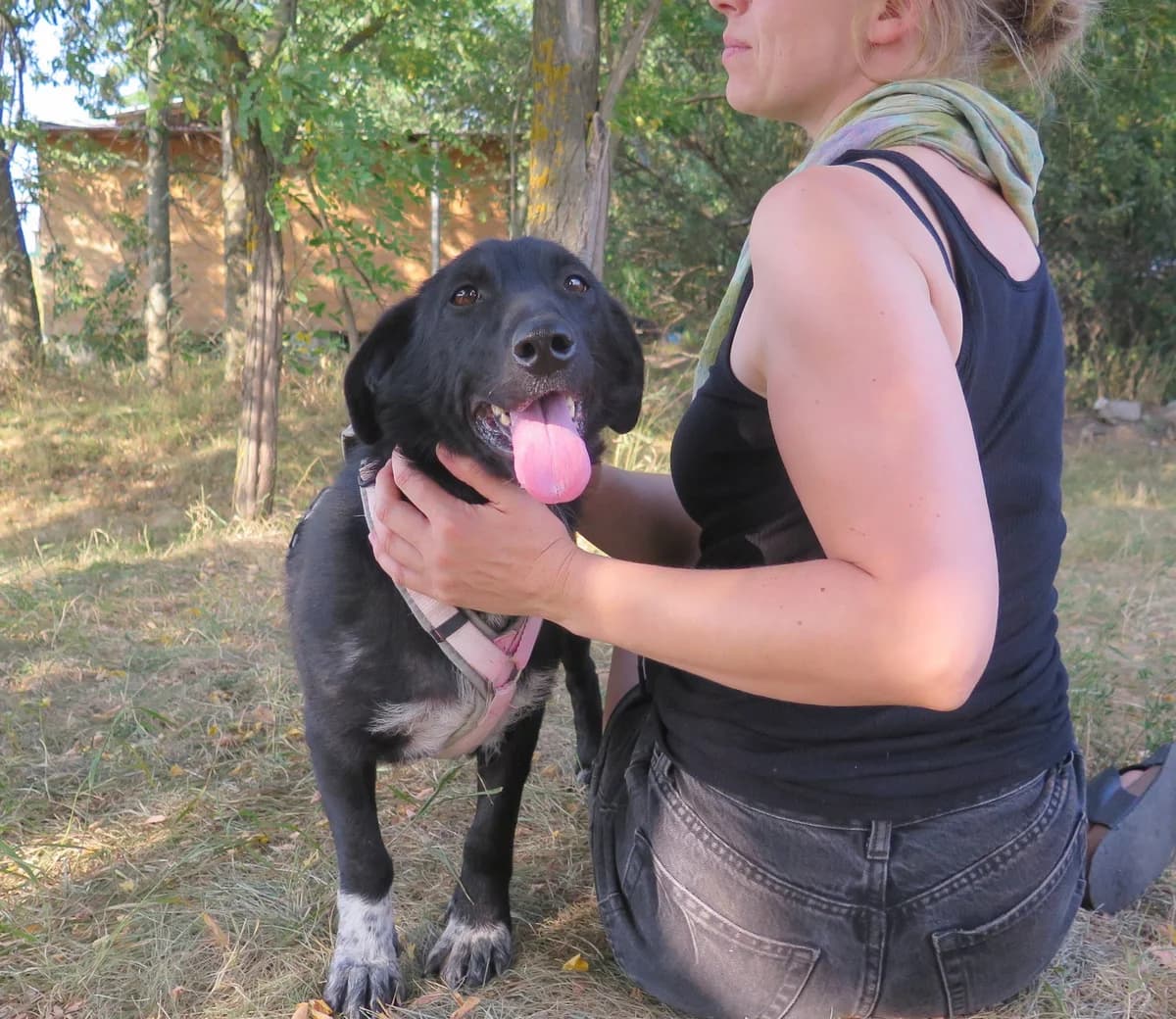 Martha, female puppy mixed breed for adoption at Freundeskreis Brunopet e.V.