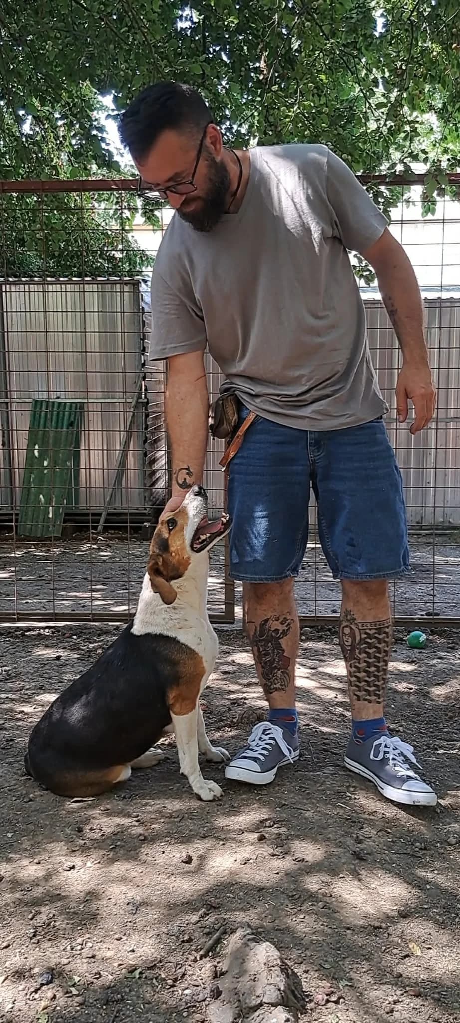 Demi, female 5yo Mixed Breed for adoption at Glück für Pfoten e.V., Dortmund