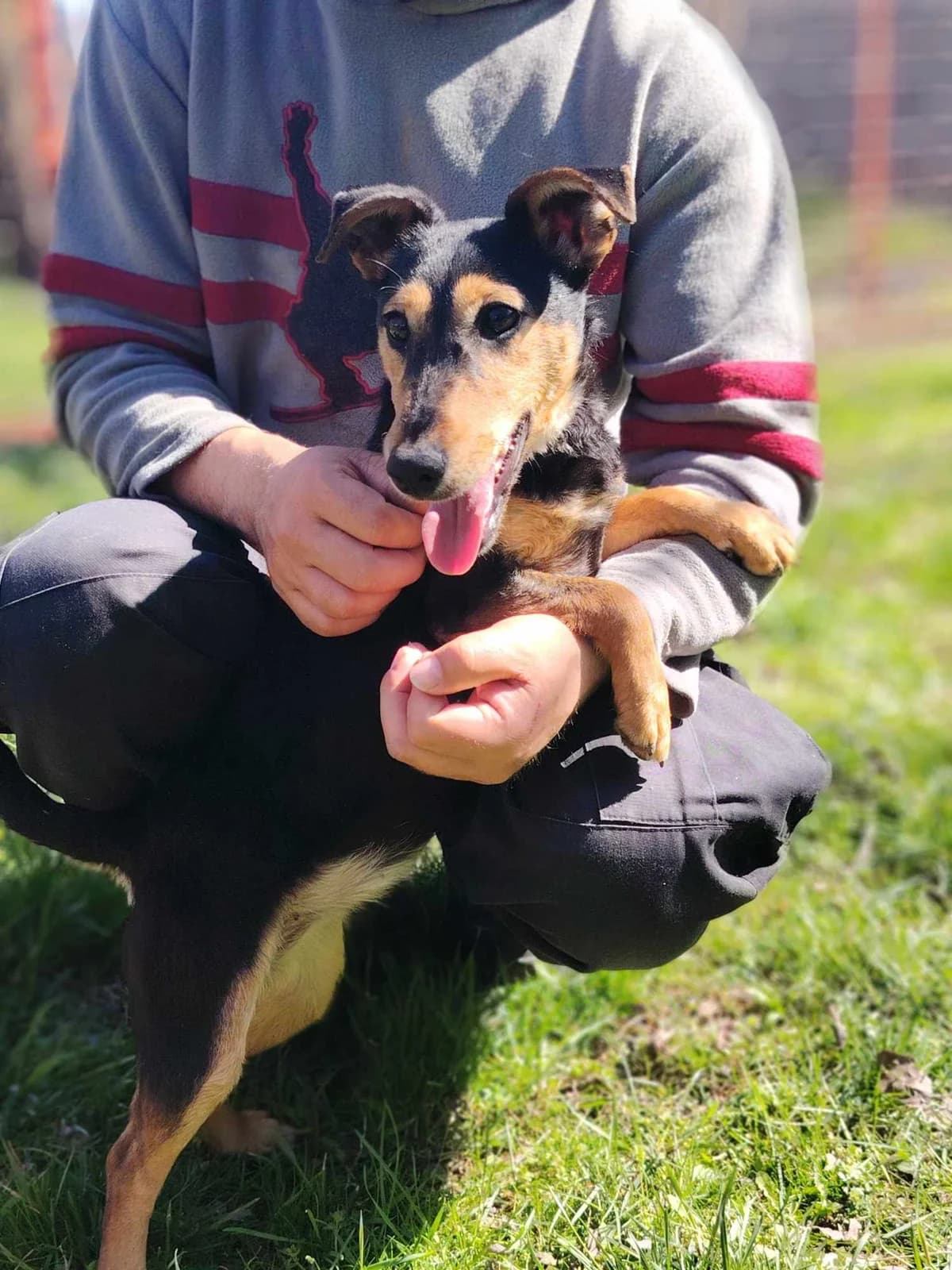 Glória, female Mixed Breed for adoption at Glück für Pfoten e.V. — photo 4 of 9
