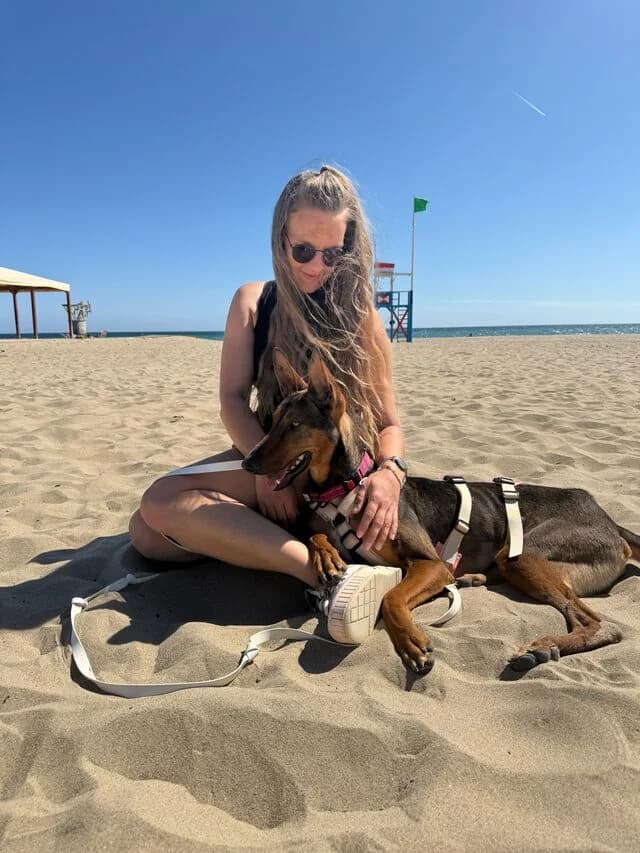 Mia, Belgian Malinois (Helfende Hände e.V.)