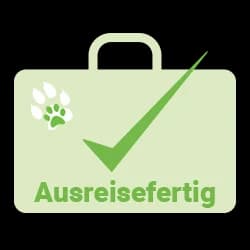 Paola,  Labrador Retriever for adoption at Help For Strays e.V. - Animal Hope Riska Belgrad — photo 2 of 10