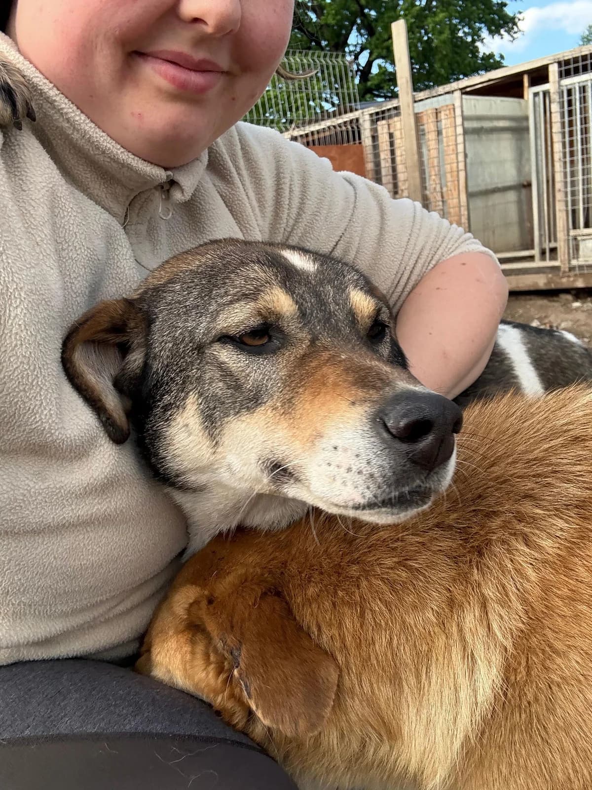 Bronco, male young Mixed Breed for adoption at Hope for Future e.V.