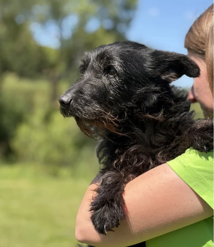 Unknown, male puppy Mixed Breed for adoption at Hundehilfe Polen, Dierkshausen