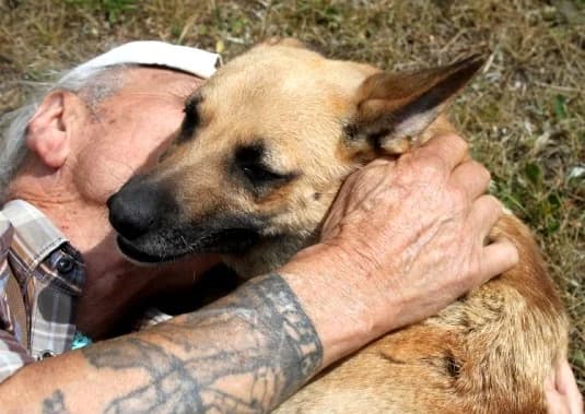 Unknown, female puppy Mixed Breed for adoption at Hundehilfe Polen, Dierkshausen