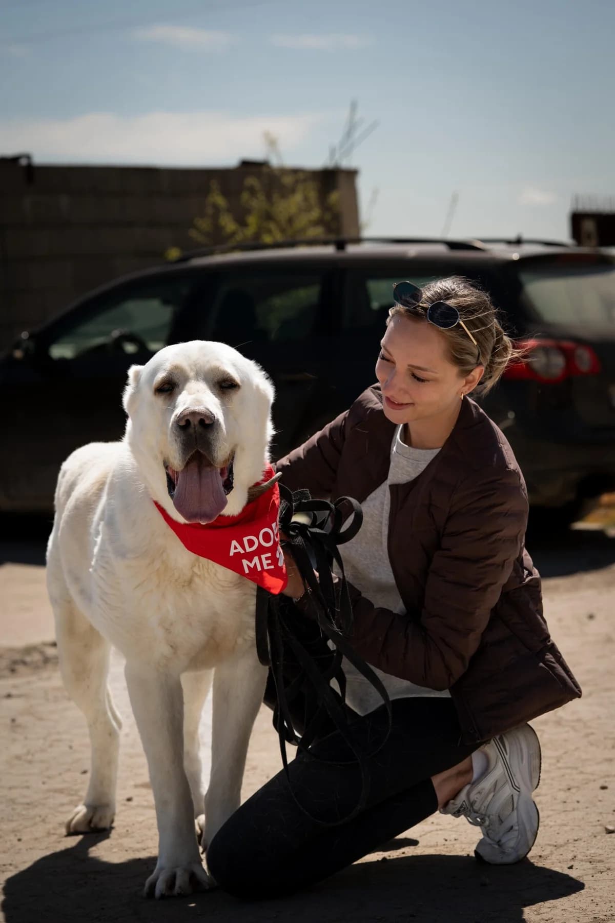Vaiana, female 5yo Mixed Breed for adoption at Kleine & große Pfoten e.V., Germany (national, Bulgaria rescue focus)