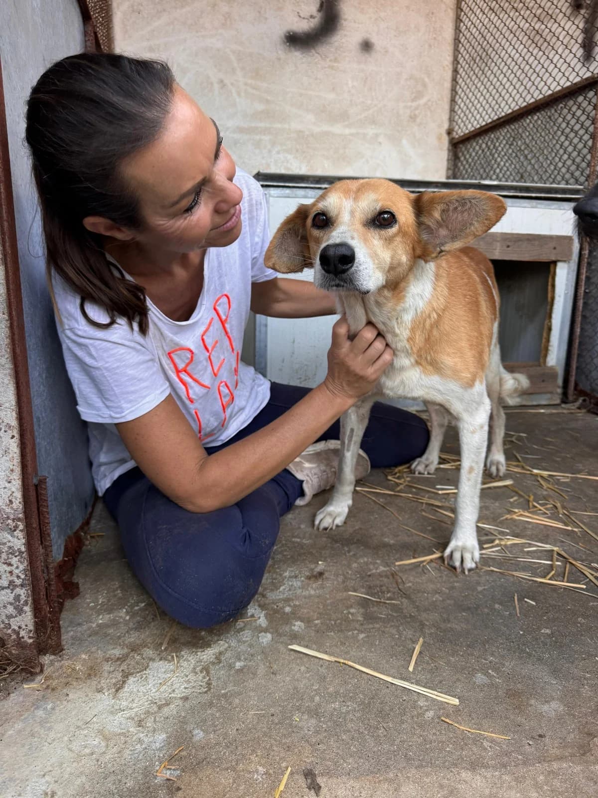 Elfi, female senior Mixed Breed for adoption at NaTiNo e.V.