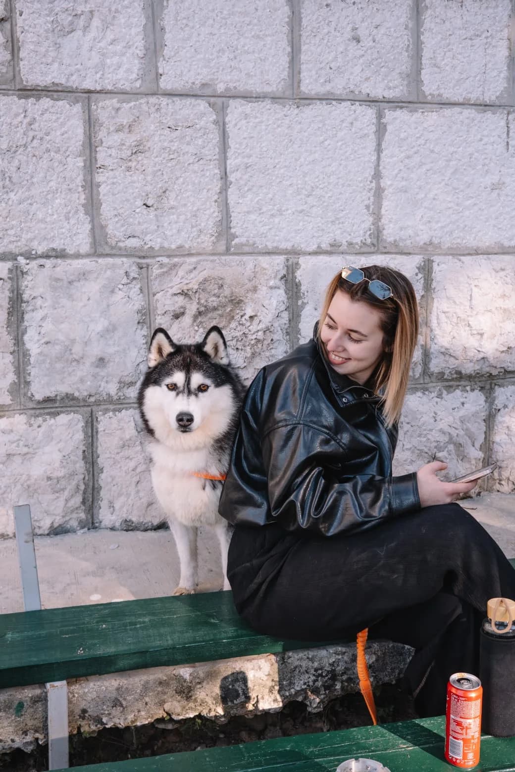 Astra, female Husky for adoption at Nordic Strays e.V. — photo 2 of 33