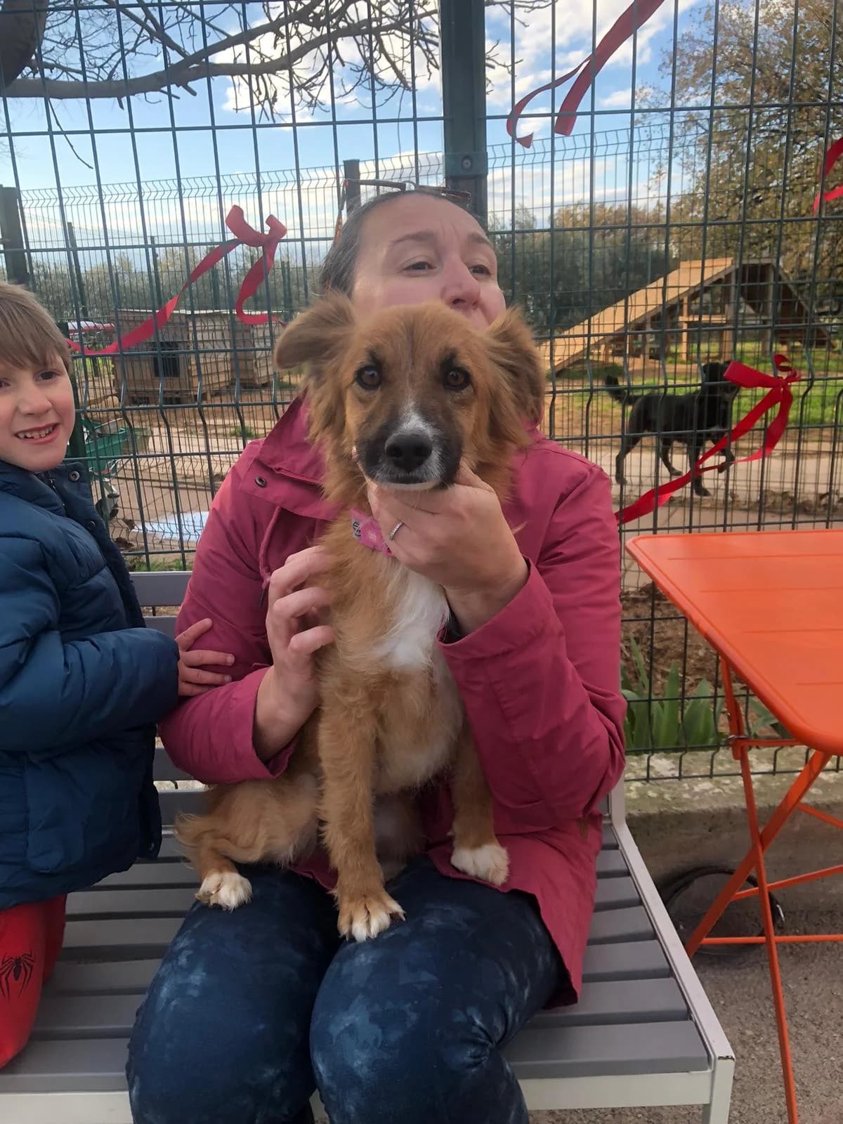 Stella, weiß male young Mixed Breed for adoption at Nordic Strays e.V.
