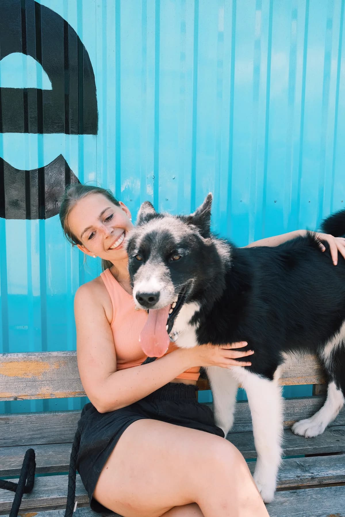 Oscar (reserviert), male mixed breed for adoption at Nordic Strays e.V. — photo 6 of 17