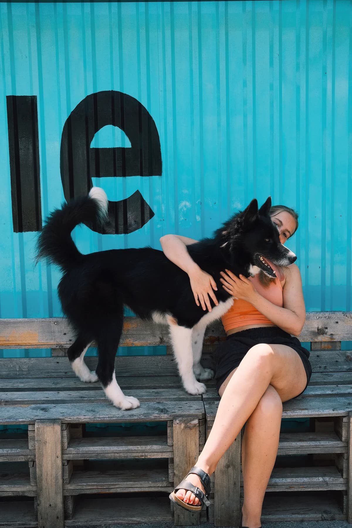 Oscar (reserviert), male mixed breed for adoption at Nordic Strays e.V. — photo 7 of 17