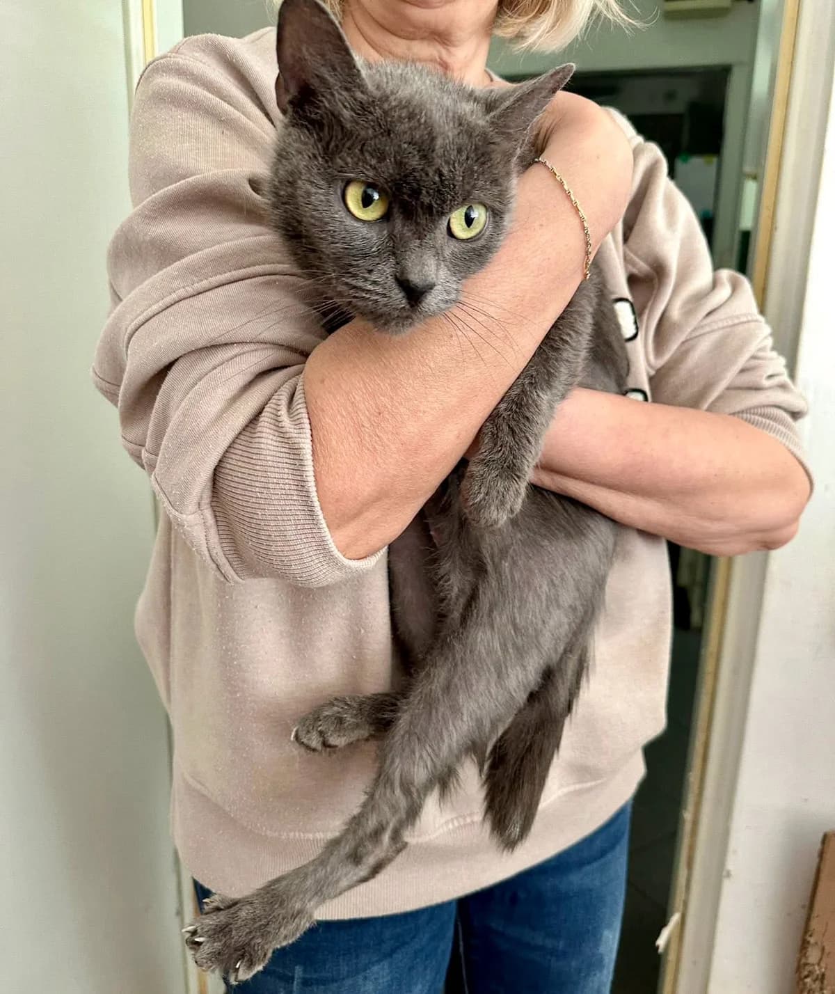 Arabella, female 3yo Mixed Breed for adoption at Seelenkatzen e.V., Barsinghausen