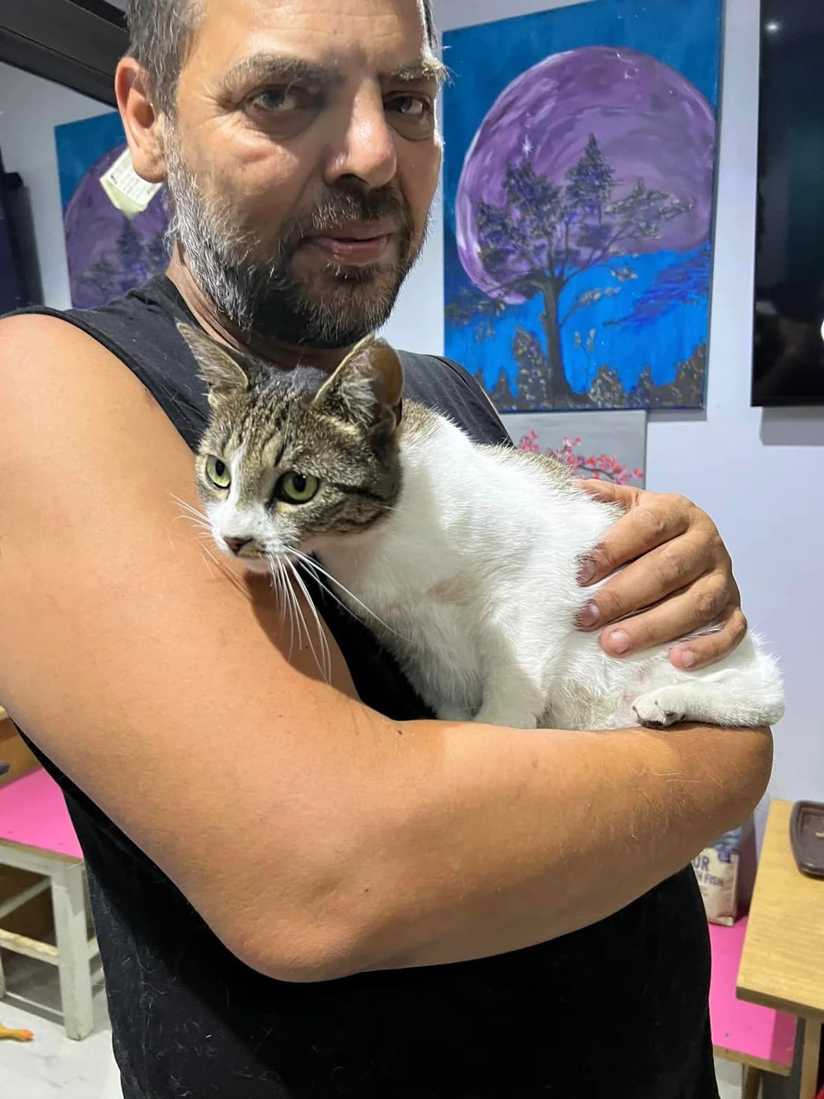 Freja, female Mixed Breed for adoption at Seelenkatzen e.V. — photo 8 of 14