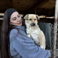 Lucy, female young Mixed Breed for adoption at Spitz und Pawtners e.V.