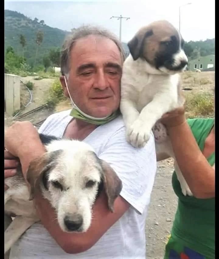Das Leid unserer Hunde in der Türkei, female young Mixed Breed for adoption at Step by Paw e.V.