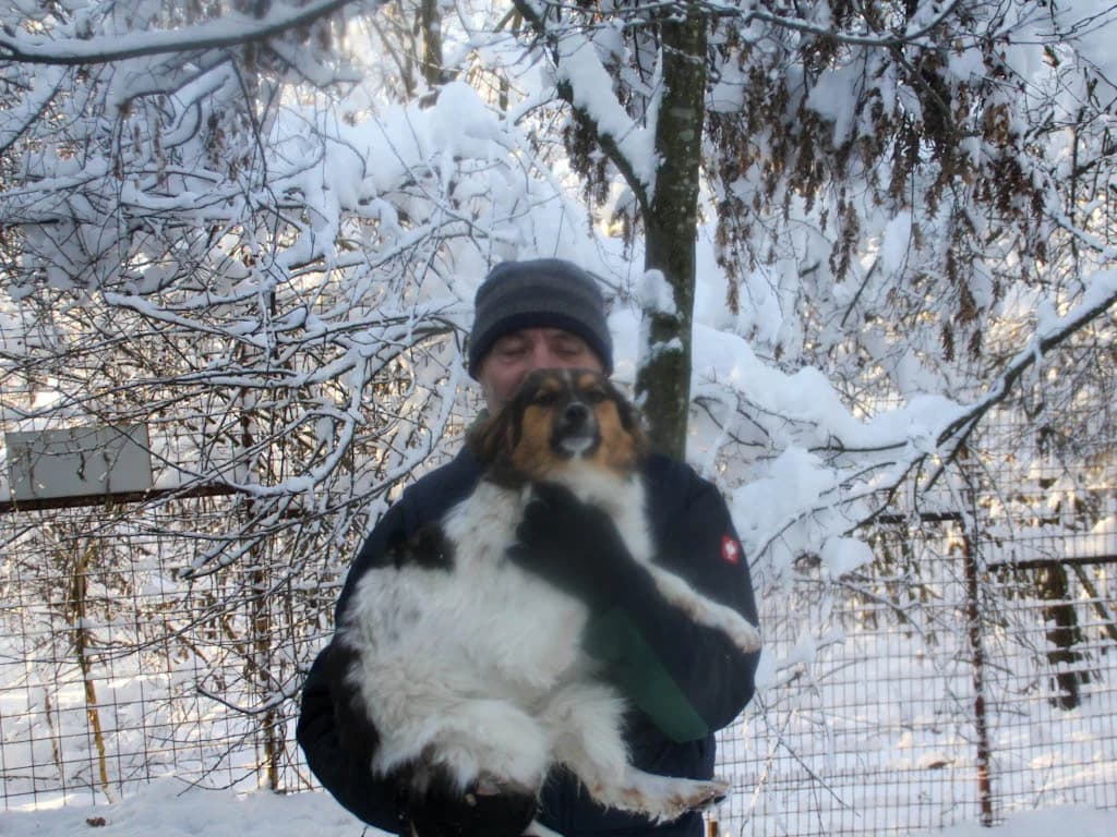 Juliana, female Mixed Breed for adoption at Stray Dogs Bosnien e.V. — photo 7 of 19