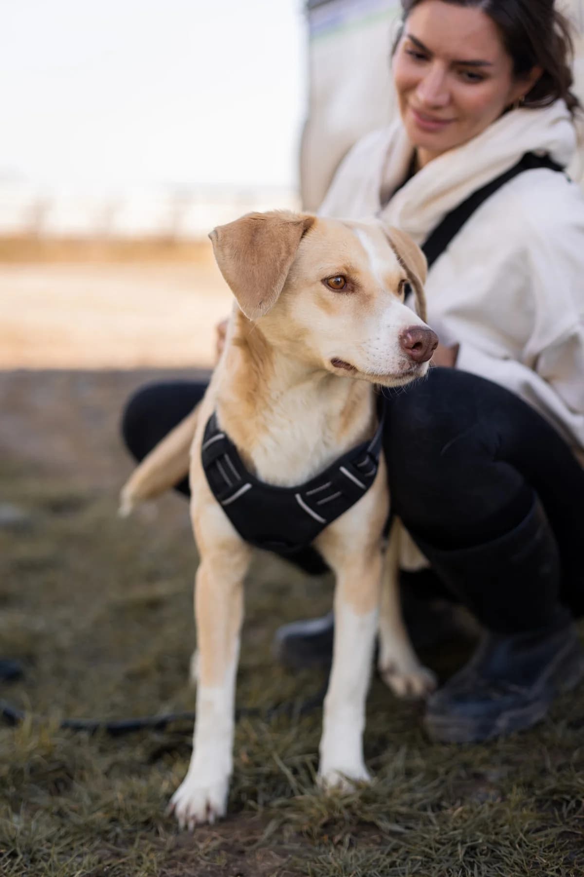 Lilya, female 6yo Mixed Breed for adoption at Thats Pets Rescue e.V.