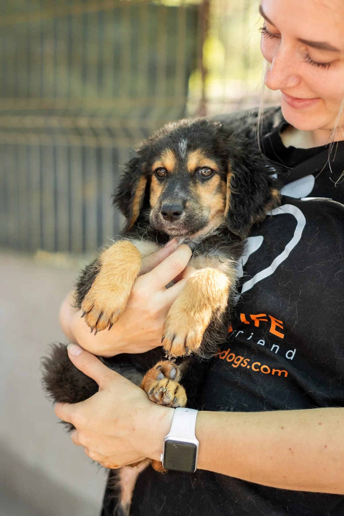 Zelda, female young Mixed Breed for adoption at Thats Pets Rescue e.V.