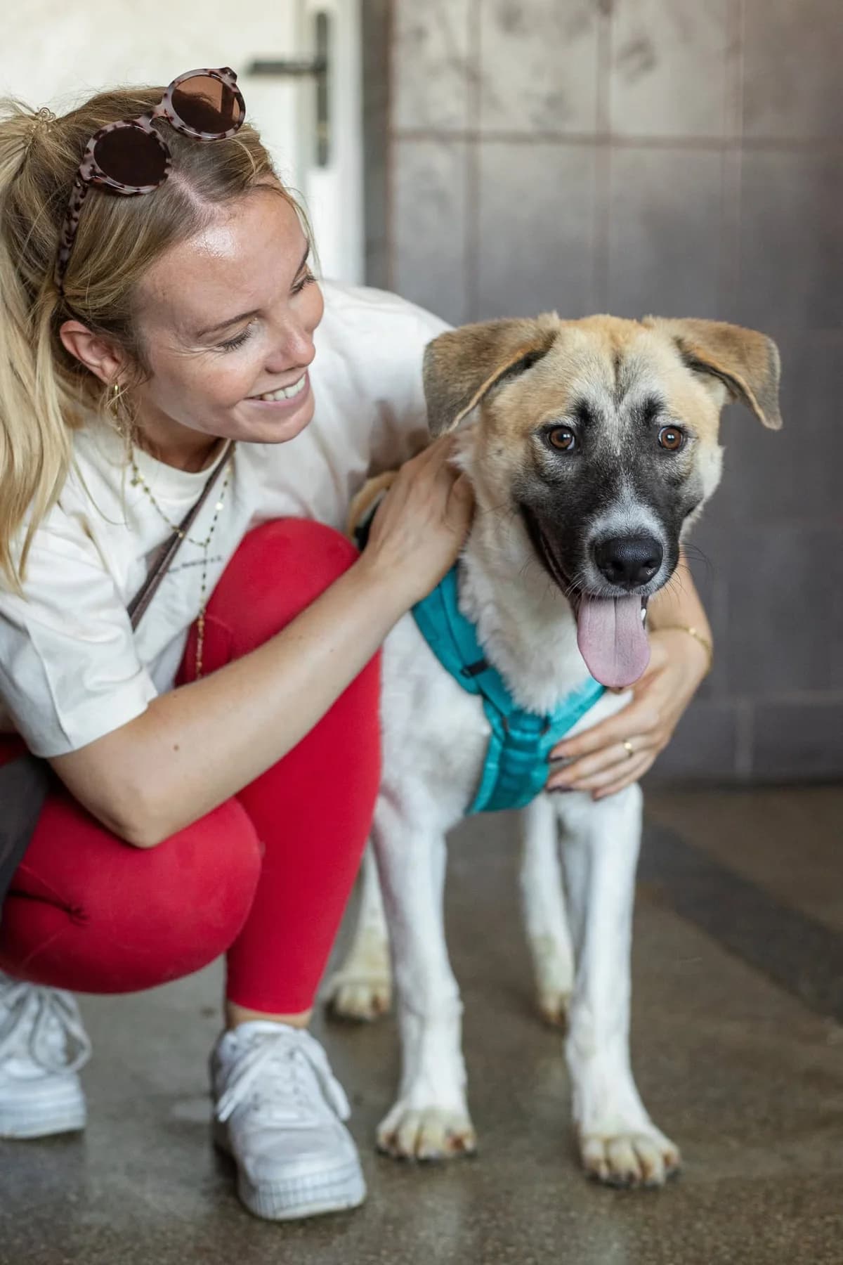 Nor, male young Mixed Breed for adoption at Thats Pets Rescue e.V.