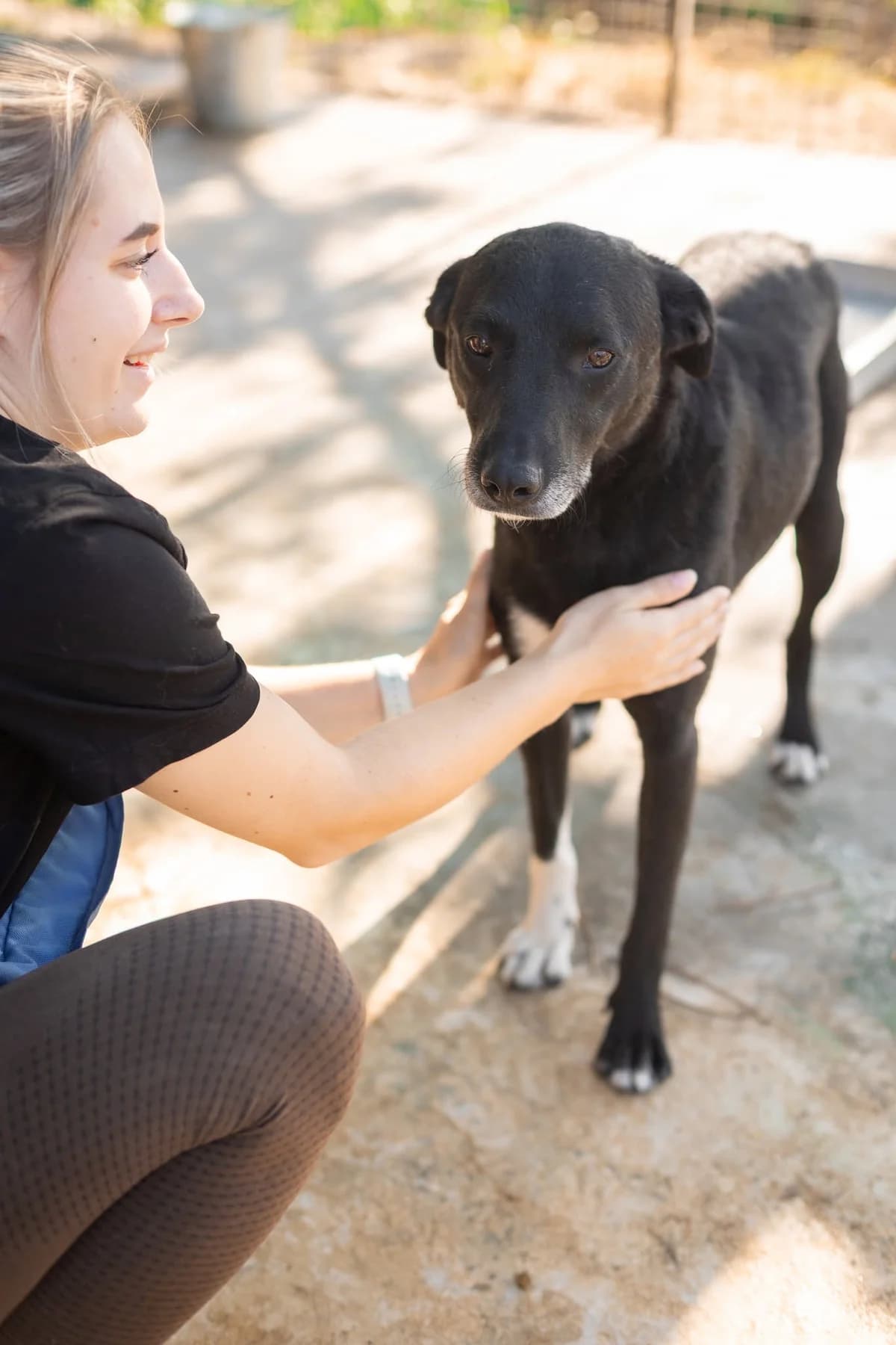 Tano, male 6yo Mixed Breed for adoption at Thats Pets Rescue e.V.