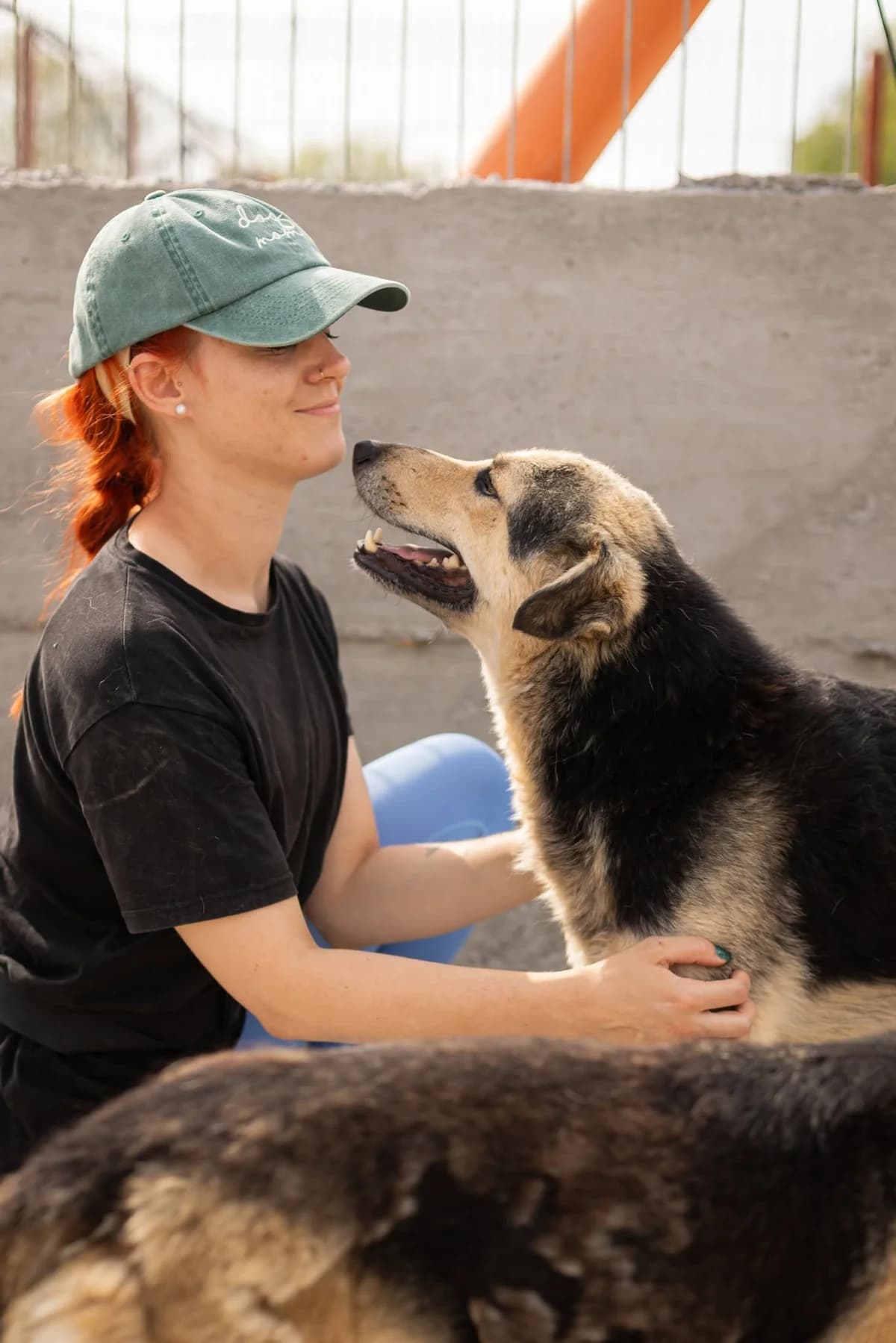Moxie, male 6yo Mixed Breed for adoption at Thats Pets Rescue e.V.