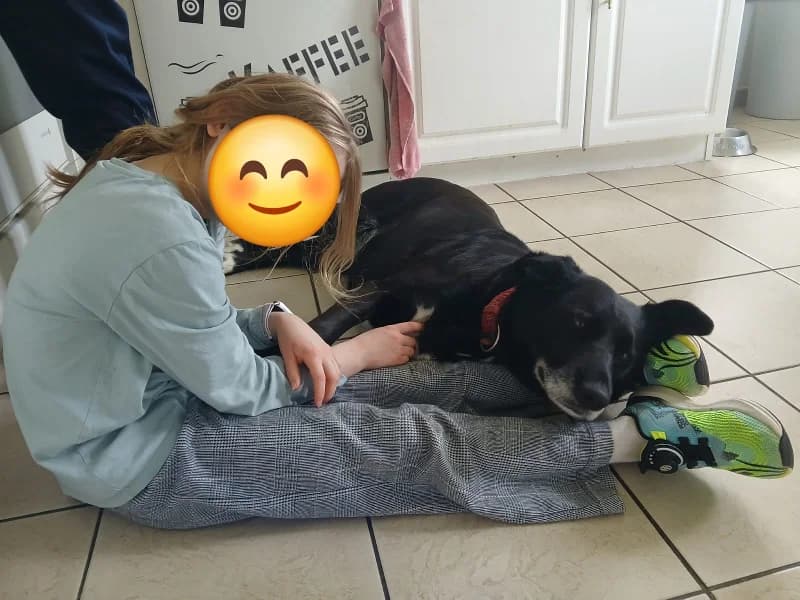 Zuhause gesucht, female Mixed Breed for adoption at Tiere in Not Saar e.V., Saarbrücken — photo 3 of 8