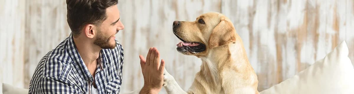 Zuhause gesucht, female Mixed Breed for adoption at Tiere in Not Saar e.V., Saarbrücken