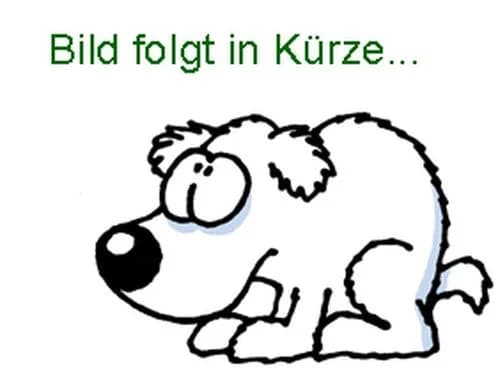 Oreo (und Master), male young Mixed Breed for adoption at Tierheim Detmold, Detmold