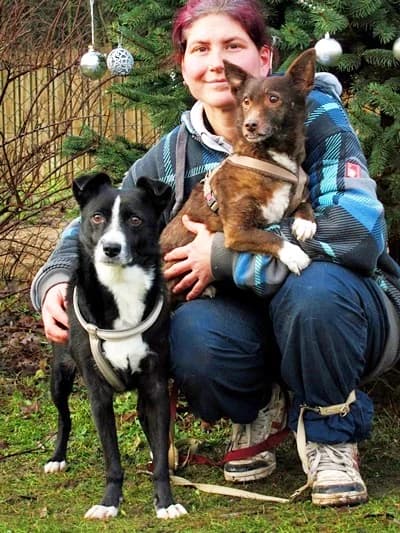 Bolle, male senior Mixed Breed for adoption at Tierheim Herzsprung