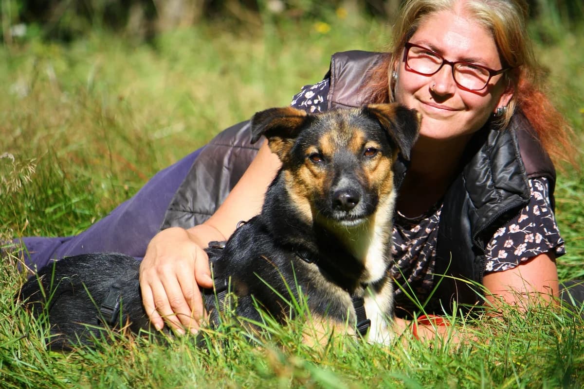 Clara, female Mixed Breed for adoption at Tierheim Herzsprung