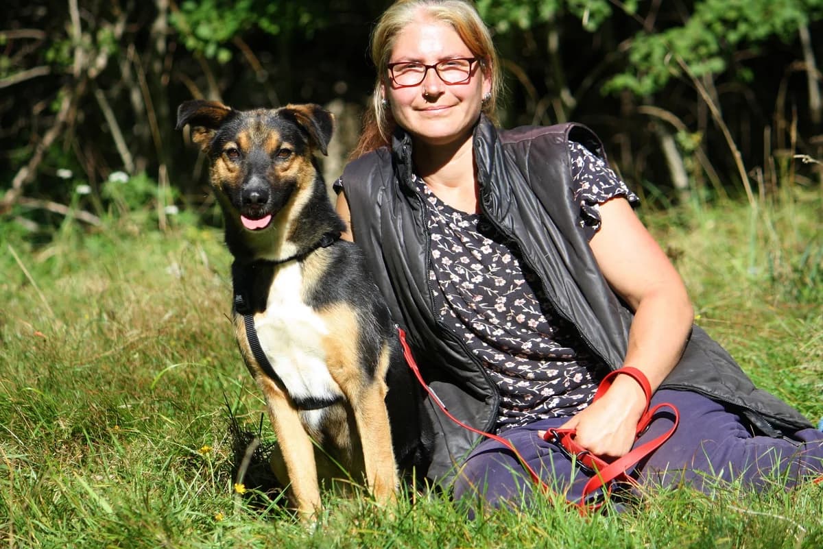 Clara, female Mixed Breed for adoption at Tierheim Herzsprung — photo 4 of 13