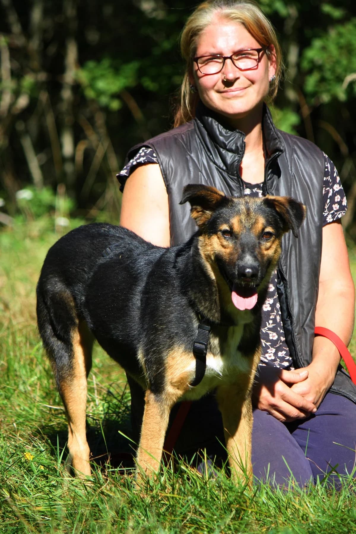 Clara, female Mixed Breed for adoption at Tierheim Herzsprung — photo 8 of 13