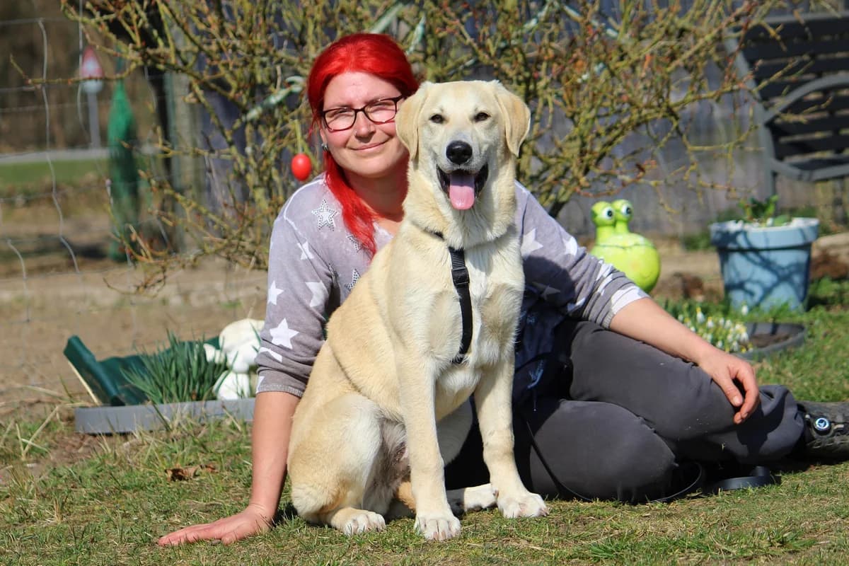 Eddy, male Mixed Breed for adoption at Tierheim Herzsprung — photo 5 of 11
