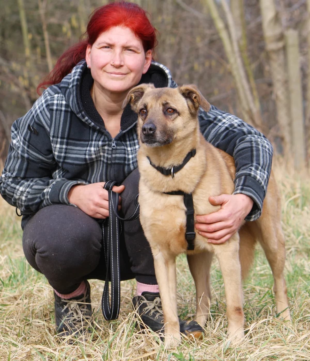 Jayden, male senior Mixed Breed for adoption at Tierheim Herzsprung