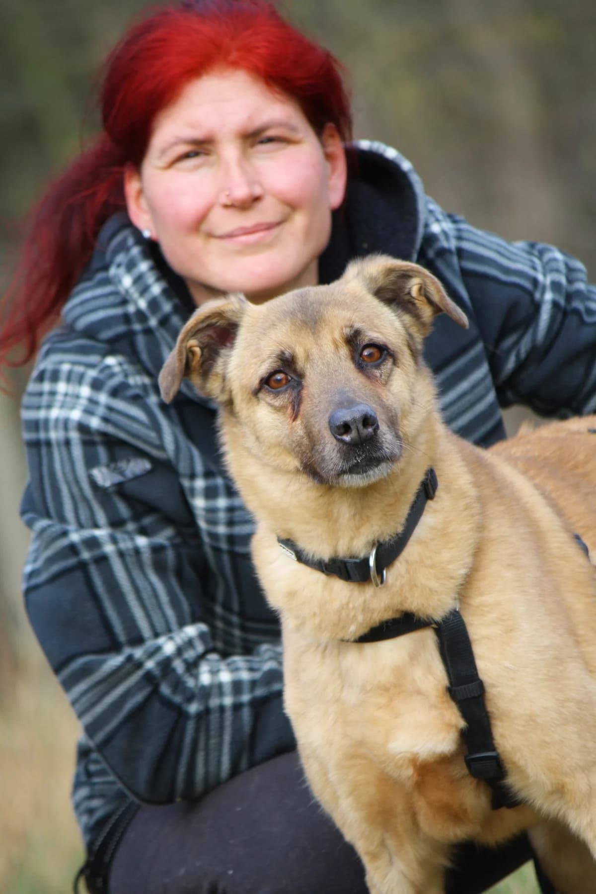 Jayden, male Mixed Breed for adoption at Tierheim Herzsprung — photo 3 of 9