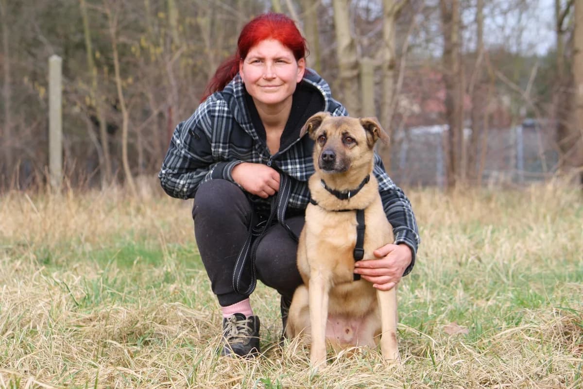 Jayden, male Mixed Breed for adoption at Tierheim Herzsprung — photo 4 of 9