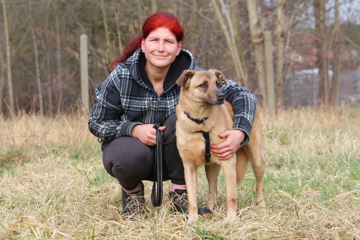 Jayden, male Mixed Breed for adoption at Tierheim Herzsprung — photo 5 of 9