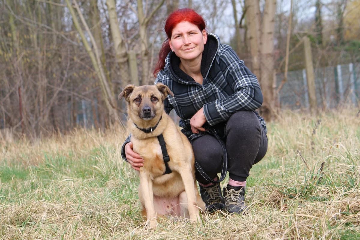 Jayden, male Mixed Breed for adoption at Tierheim Herzsprung — photo 6 of 9