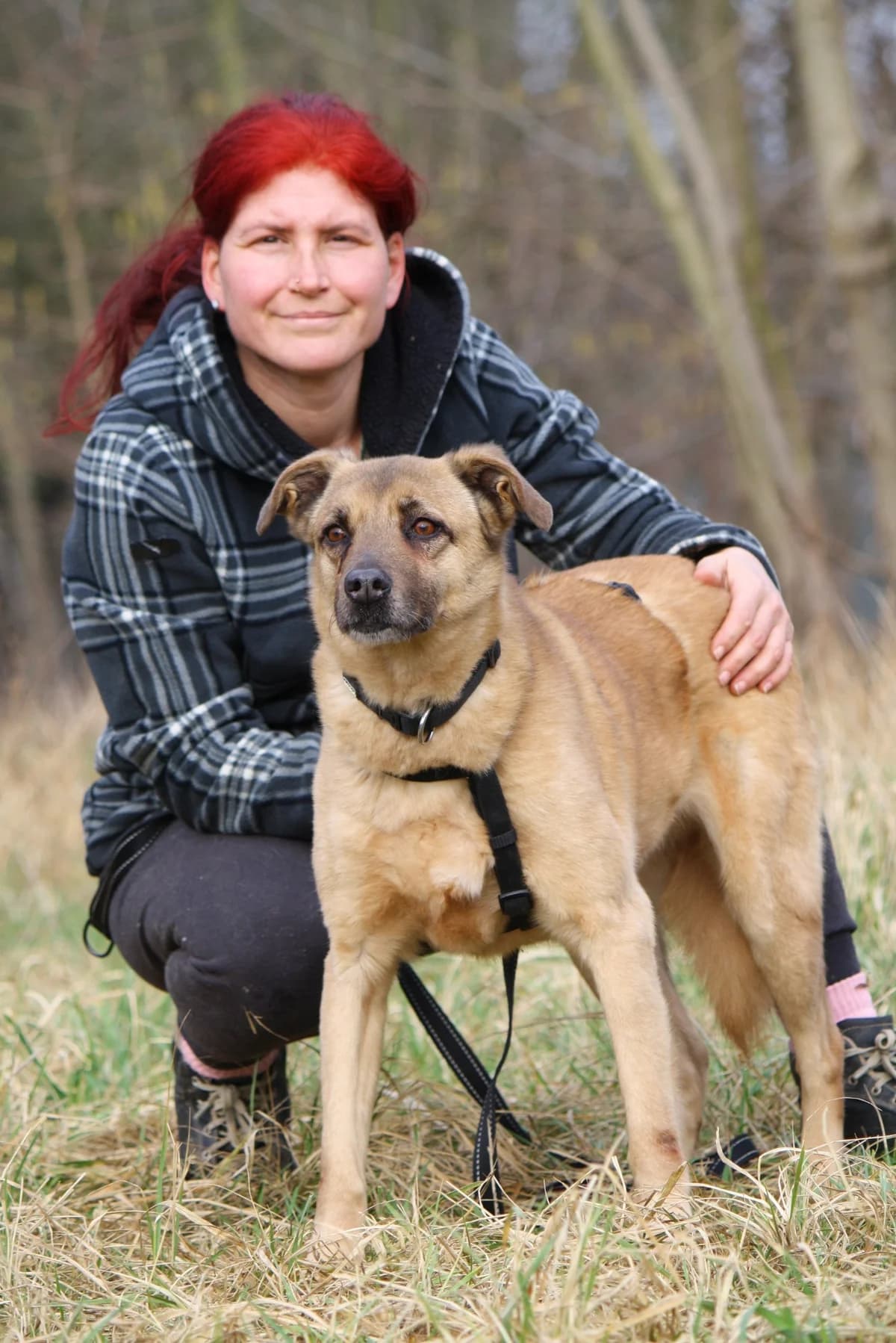 Jayden, male Mixed Breed for adoption at Tierheim Herzsprung — photo 8 of 9