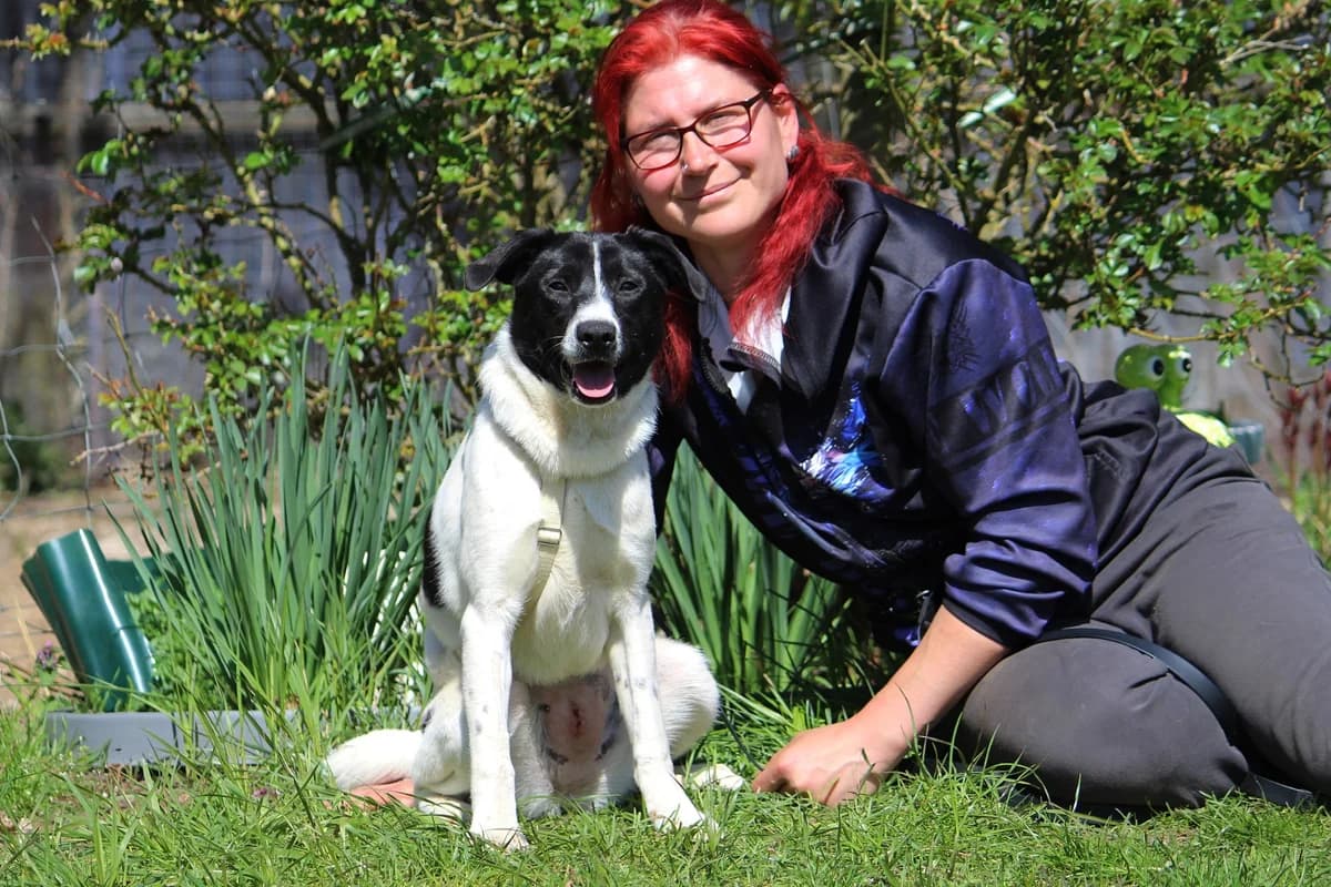 Jenna, female puppy Mixed Breed for adoption at Tierheim Herzsprung