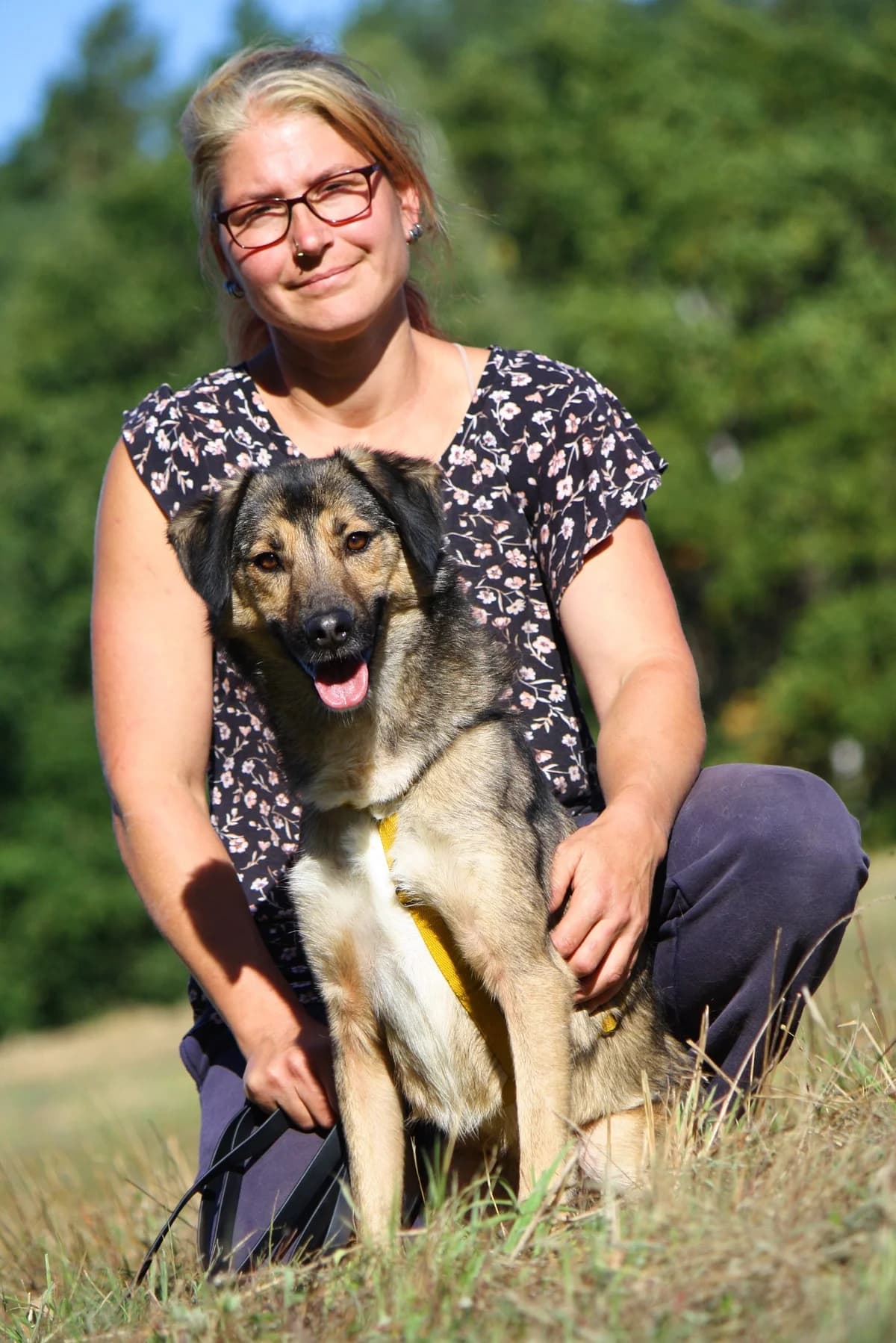 Julius, male Mixed Breed for adoption at Tierheim Herzsprung — photo 2 of 13