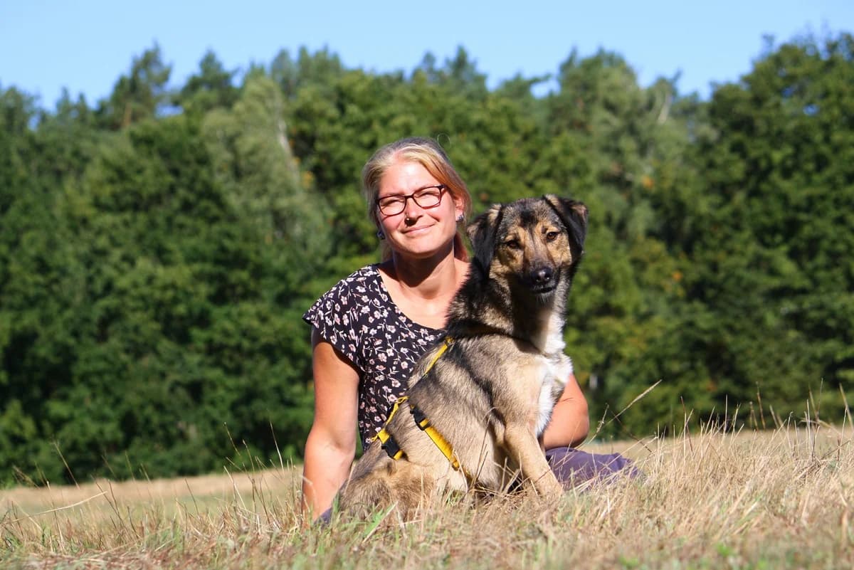 Julius, male Mixed Breed for adoption at Tierheim Herzsprung — photo 5 of 13