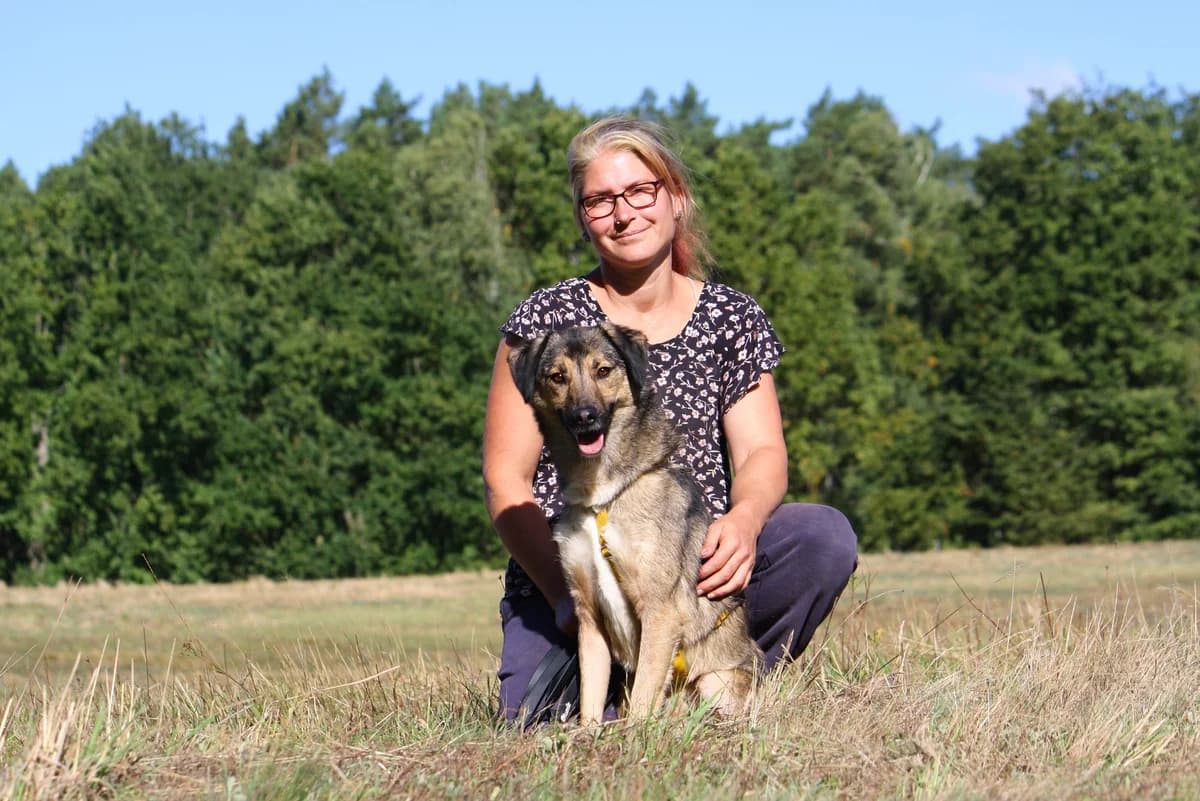 Julius, male Mixed Breed for adoption at Tierheim Herzsprung — photo 6 of 13