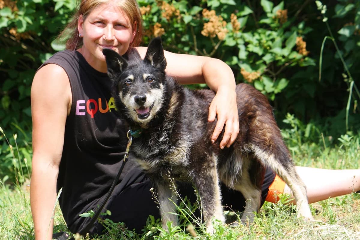 Klausi, male senior Mixed Breed for adoption at Tierheim Herzsprung
