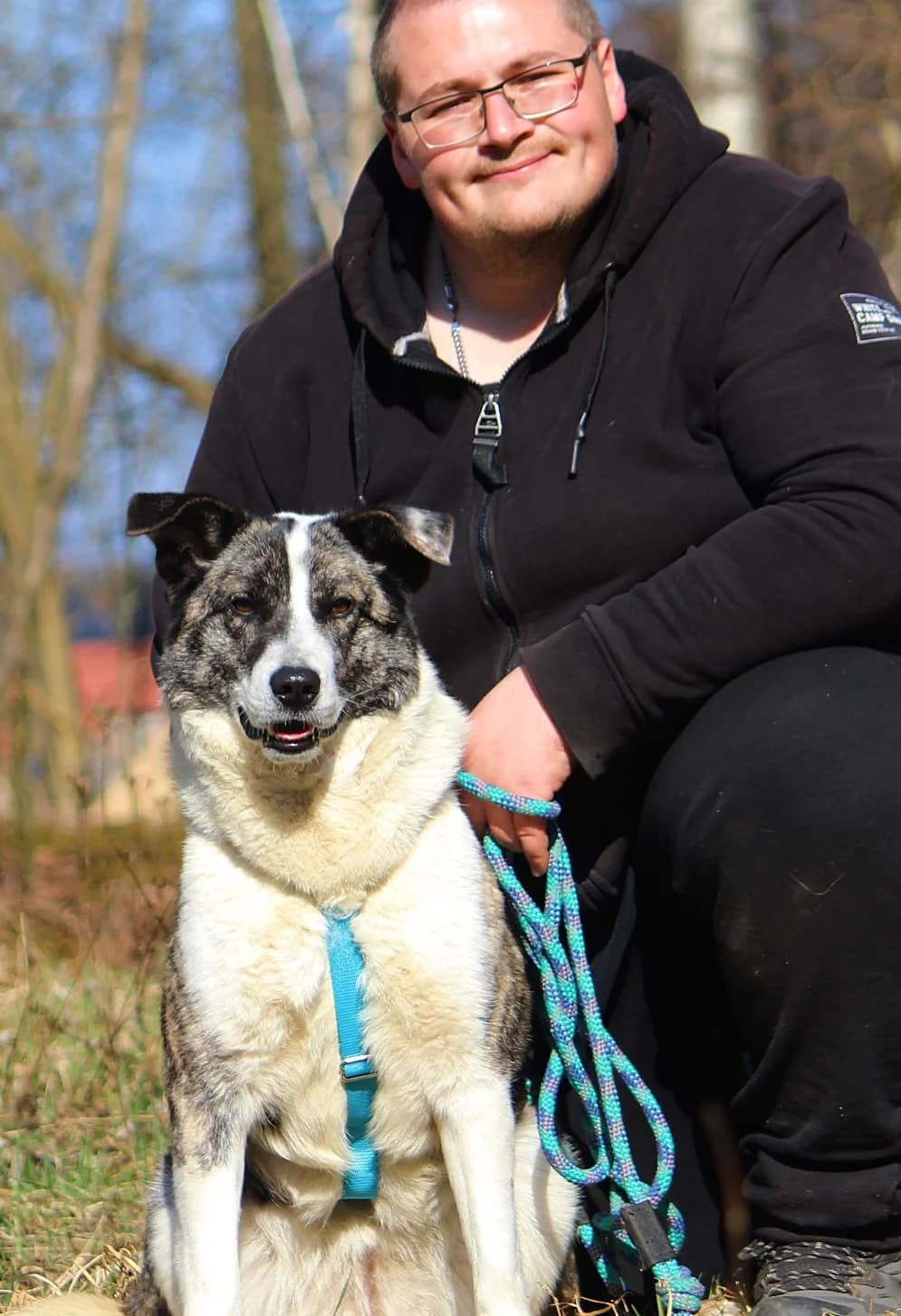 Lexy, female Mixed Breed for adoption at Tierheim Herzsprung — photo 2 of 10