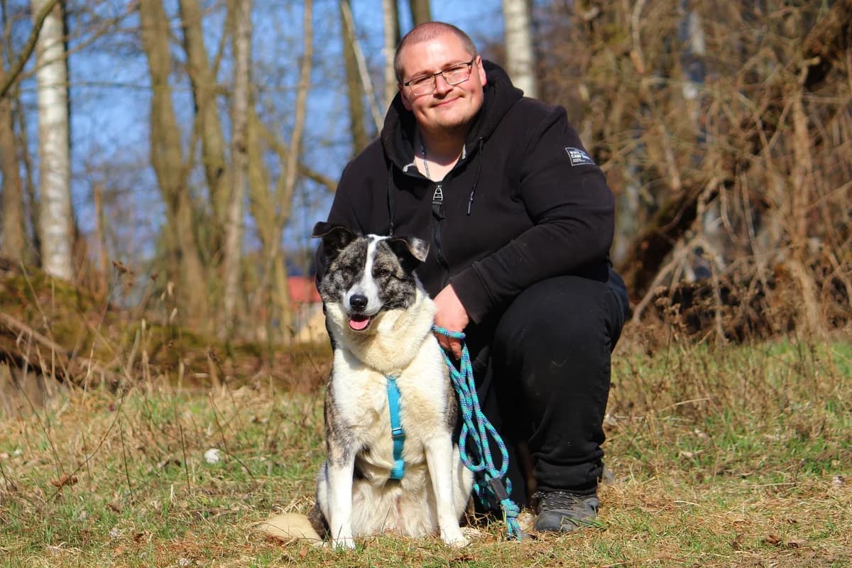 Lexy, female Mixed Breed for adoption at Tierheim Herzsprung — photo 5 of 10