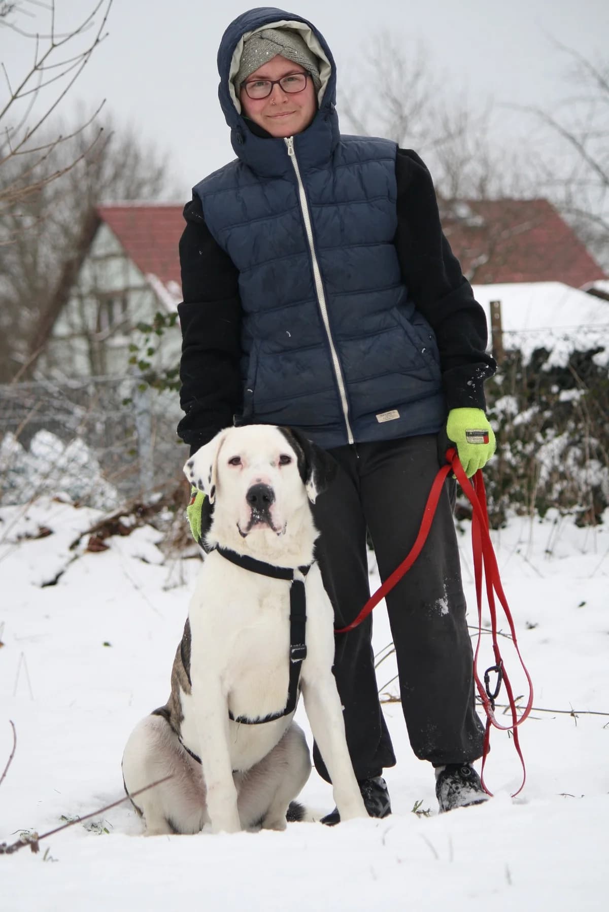 Lucky, male Mixed Breed for adoption at Tierheim Herzsprung — photo 3 of 11