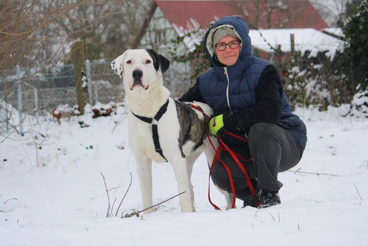 Lucky, male Mixed Breed for adoption at Tierheim Herzsprung — photo 6 of 11