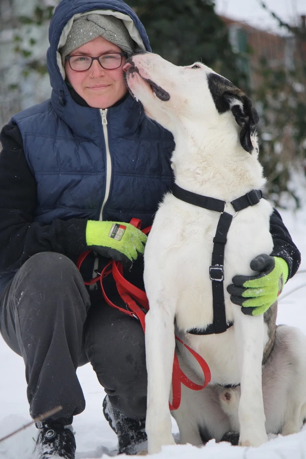 Lucky, male Mixed Breed for adoption at Tierheim Herzsprung — photo 7 of 11