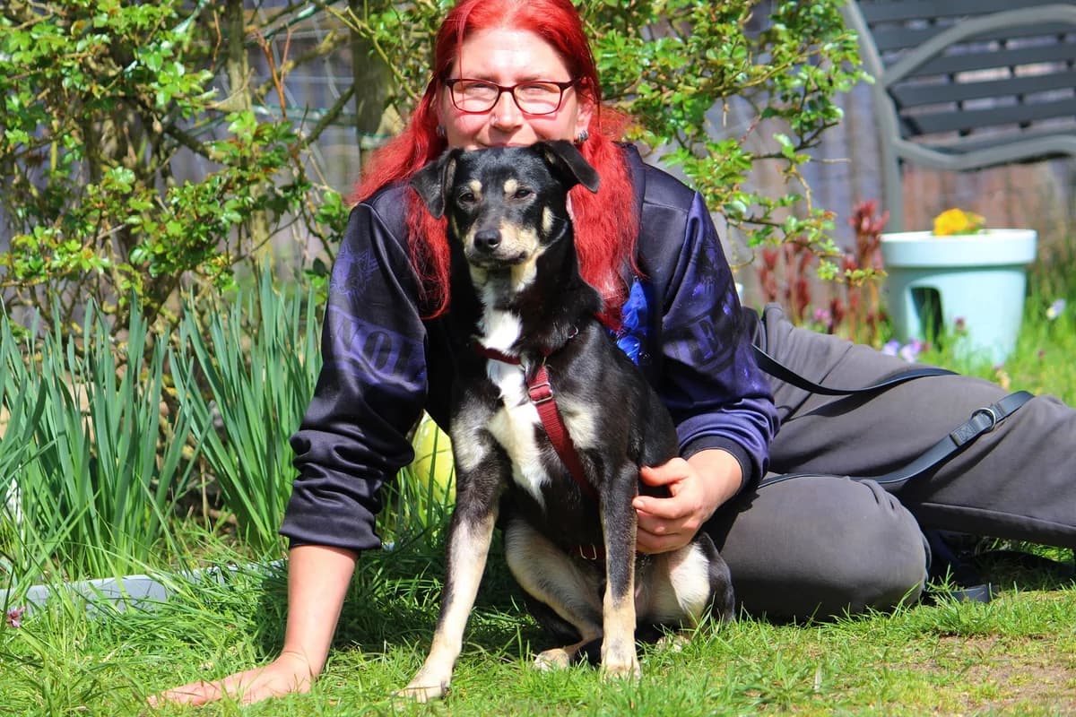 Moritz, male puppy Mixed Breed for adoption at Tierheim Herzsprung